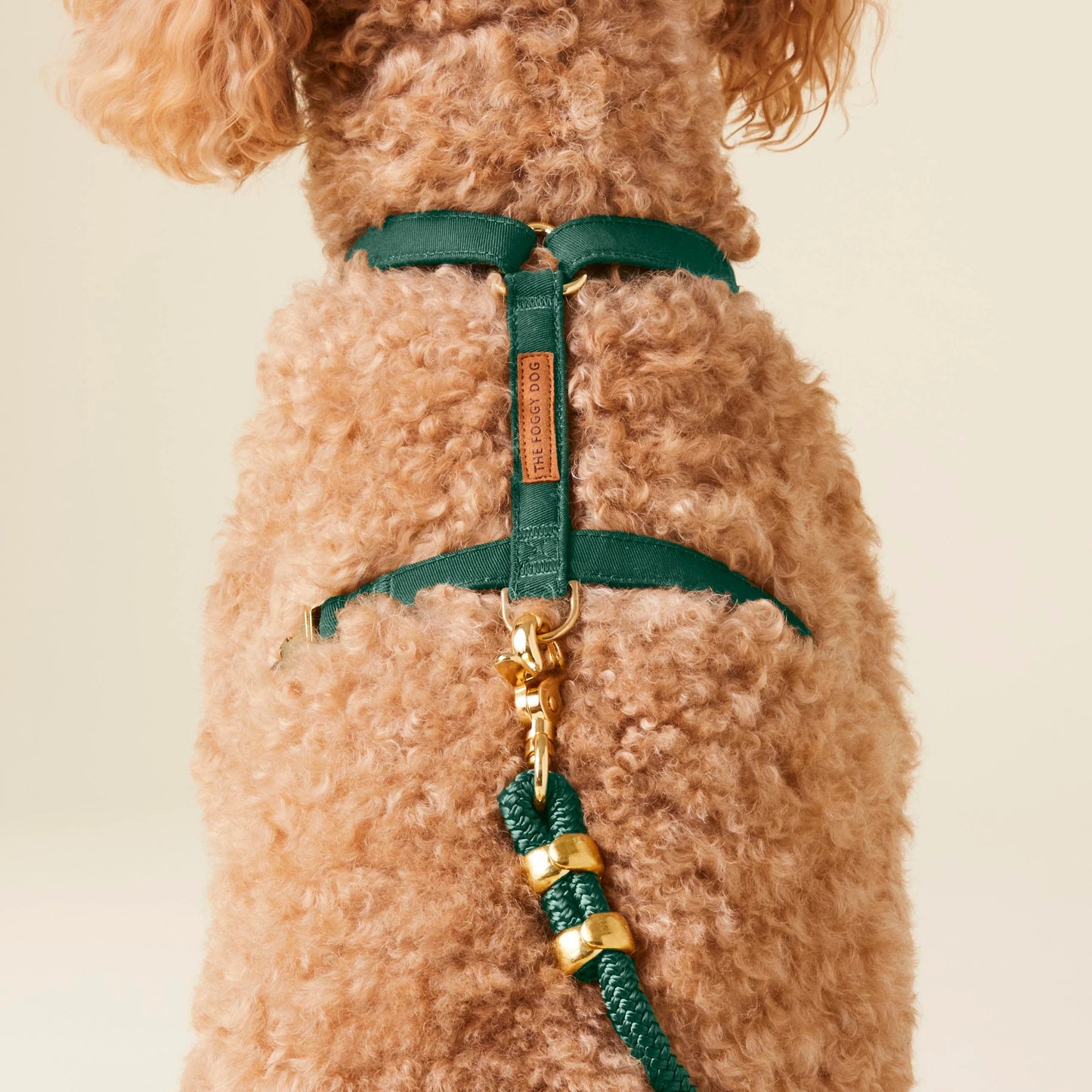 Evergreen Dog Harness by The Foggy Dog