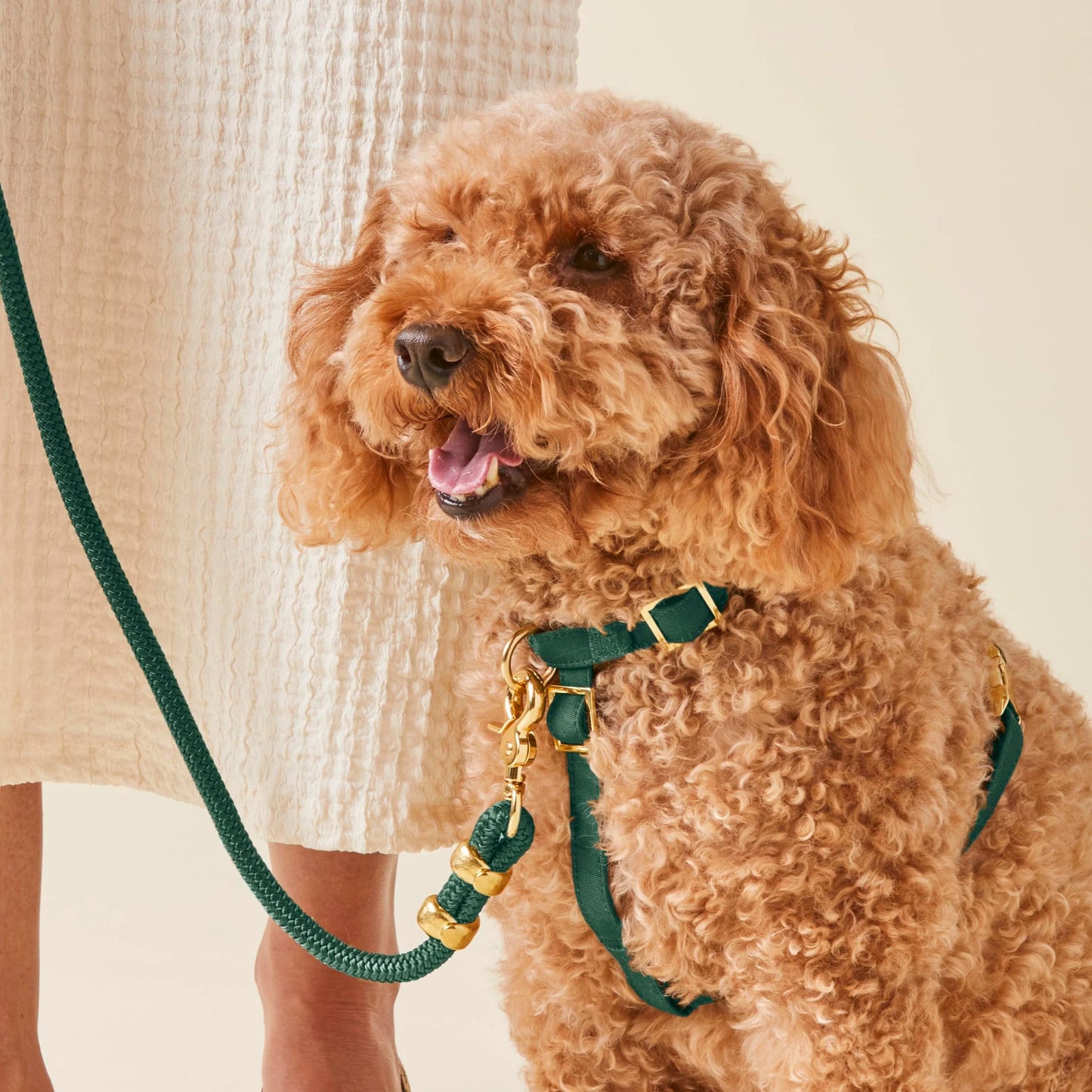 Evergreen Dog Harness by The Foggy Dog