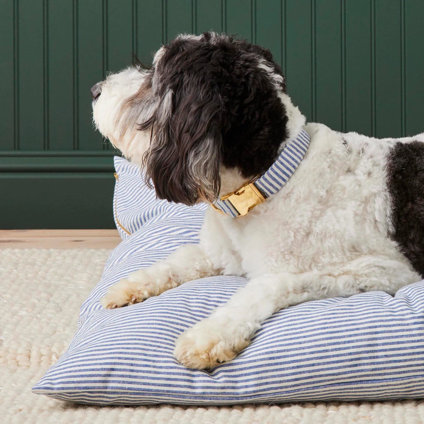 Lake Blue Stripe Dog Collar by The Foggy Dog