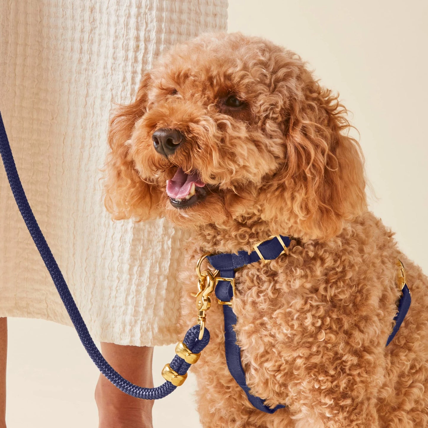 Ocean Dog Harness by The Foggy Dog