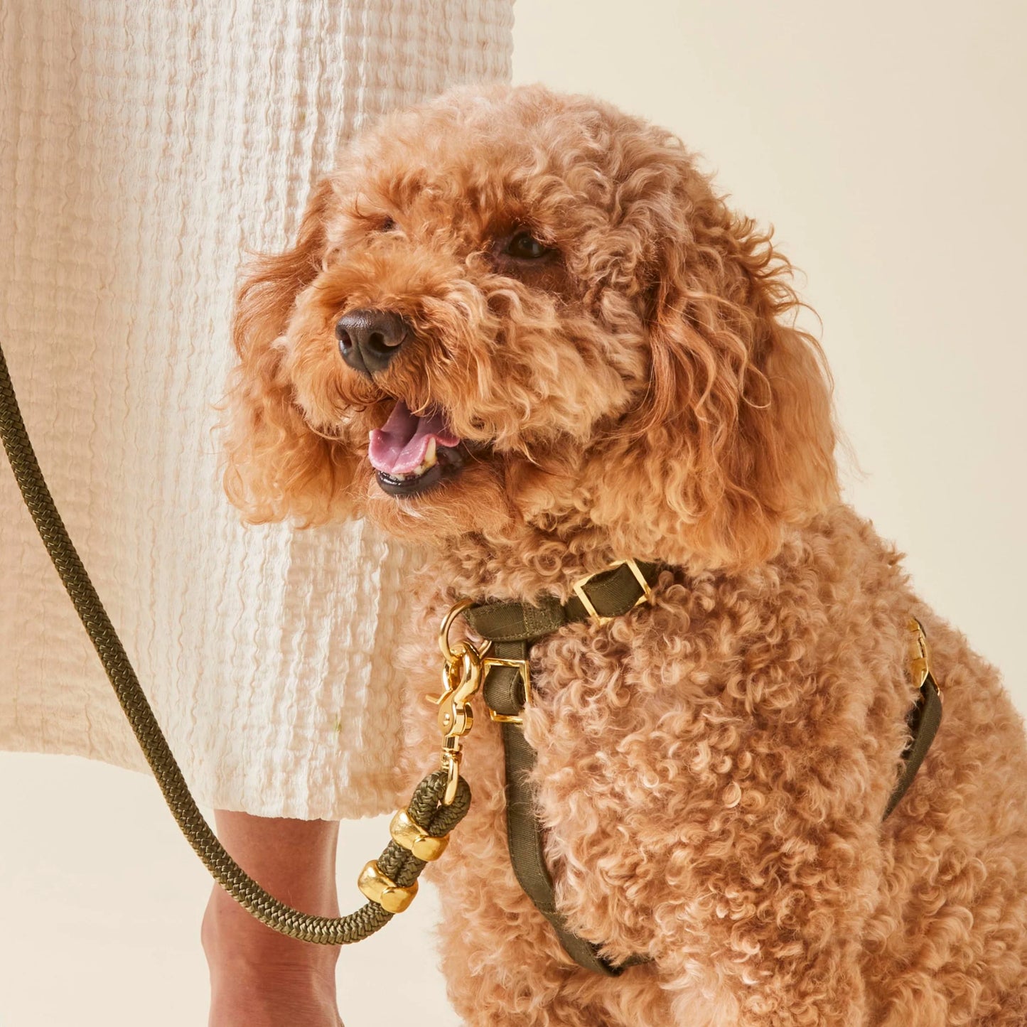 Olive Marine Rope Dog Leash by The Foggy Dog