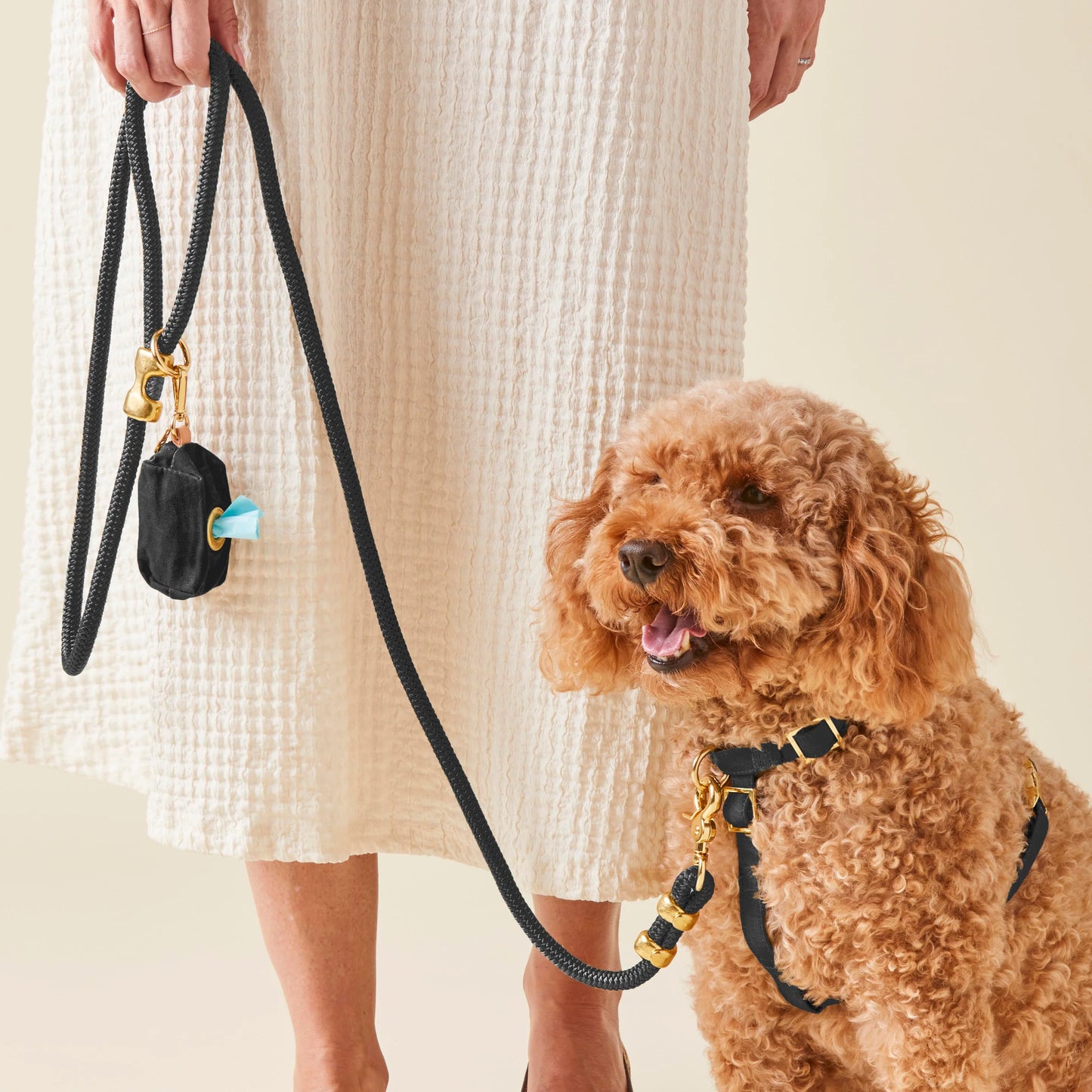 Onyx Marine Rope Dog Leash by The Foggy Dog
