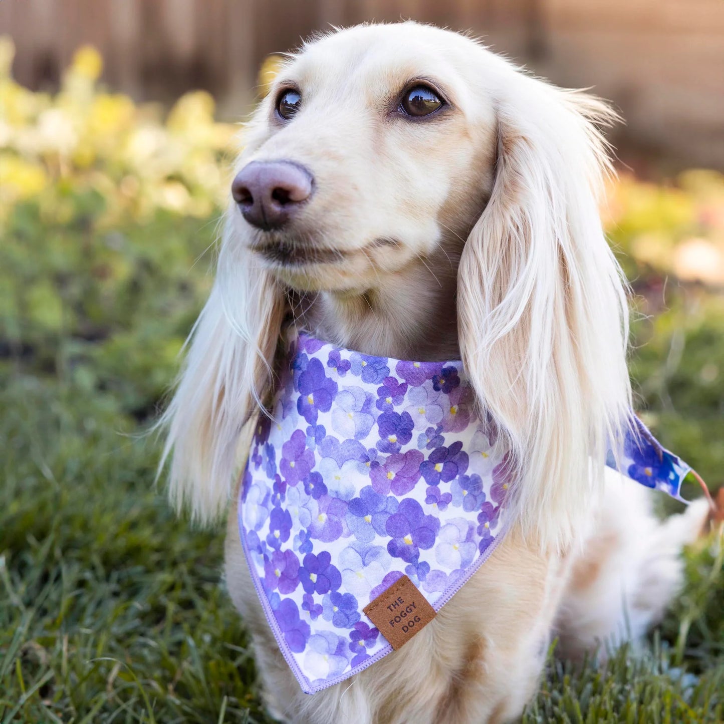 Pressed Pansies Dog Bandana by The Foggy Dog