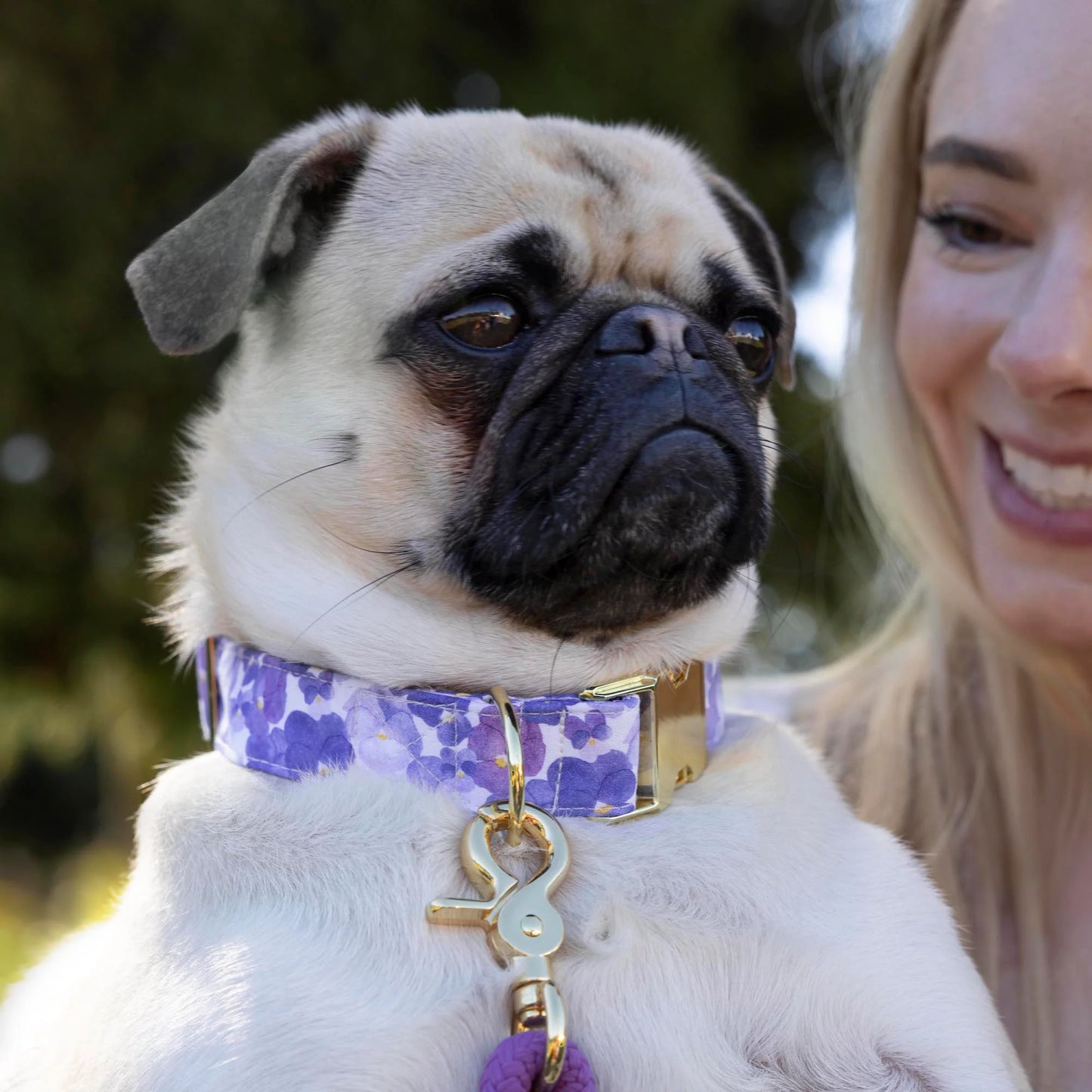 Pressed Pansies Dog Collar by The Foggy Dog