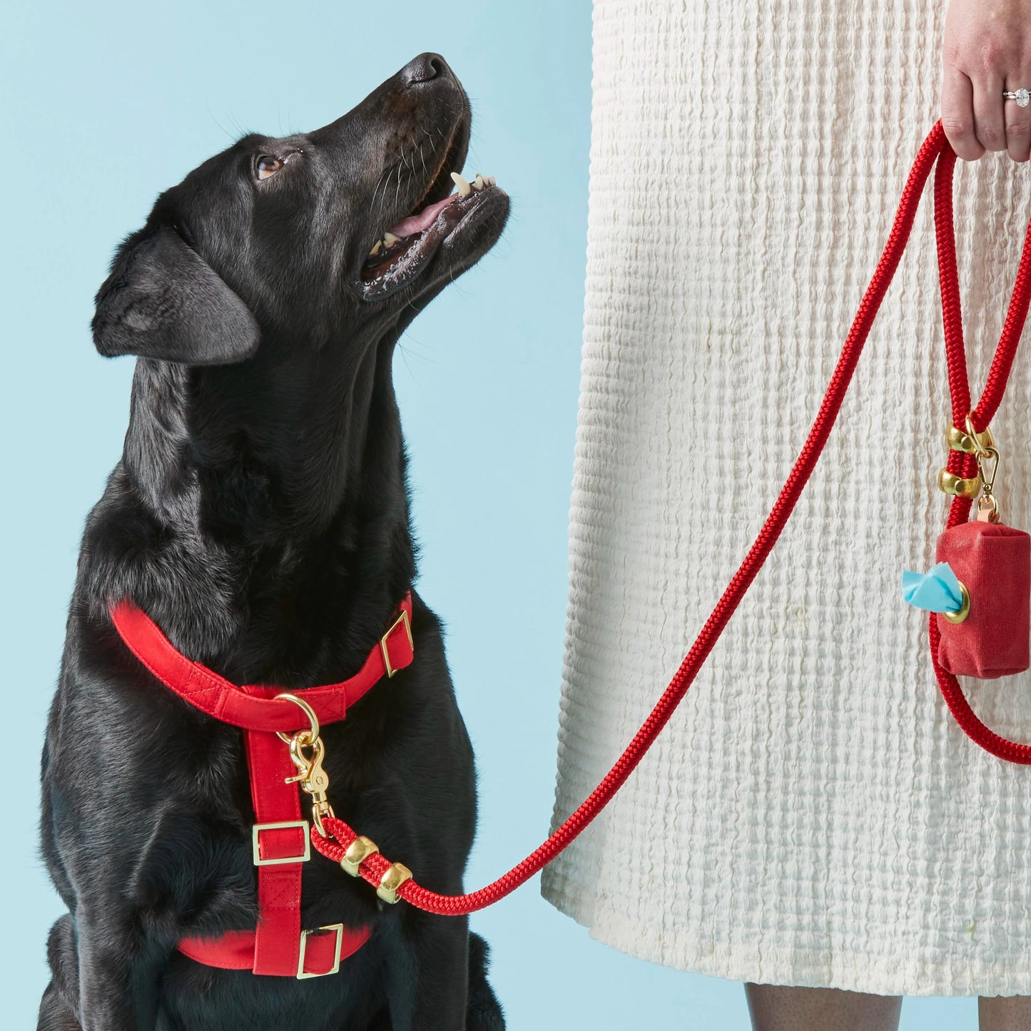 Ruby Dog Harness by The Foggy Dog