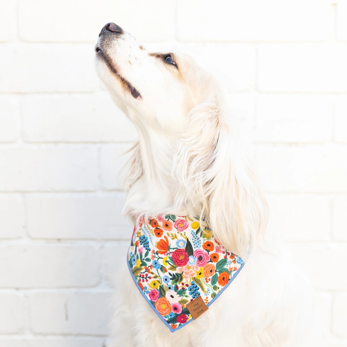 Garden Party Dog Bandana by The Foggy Dog