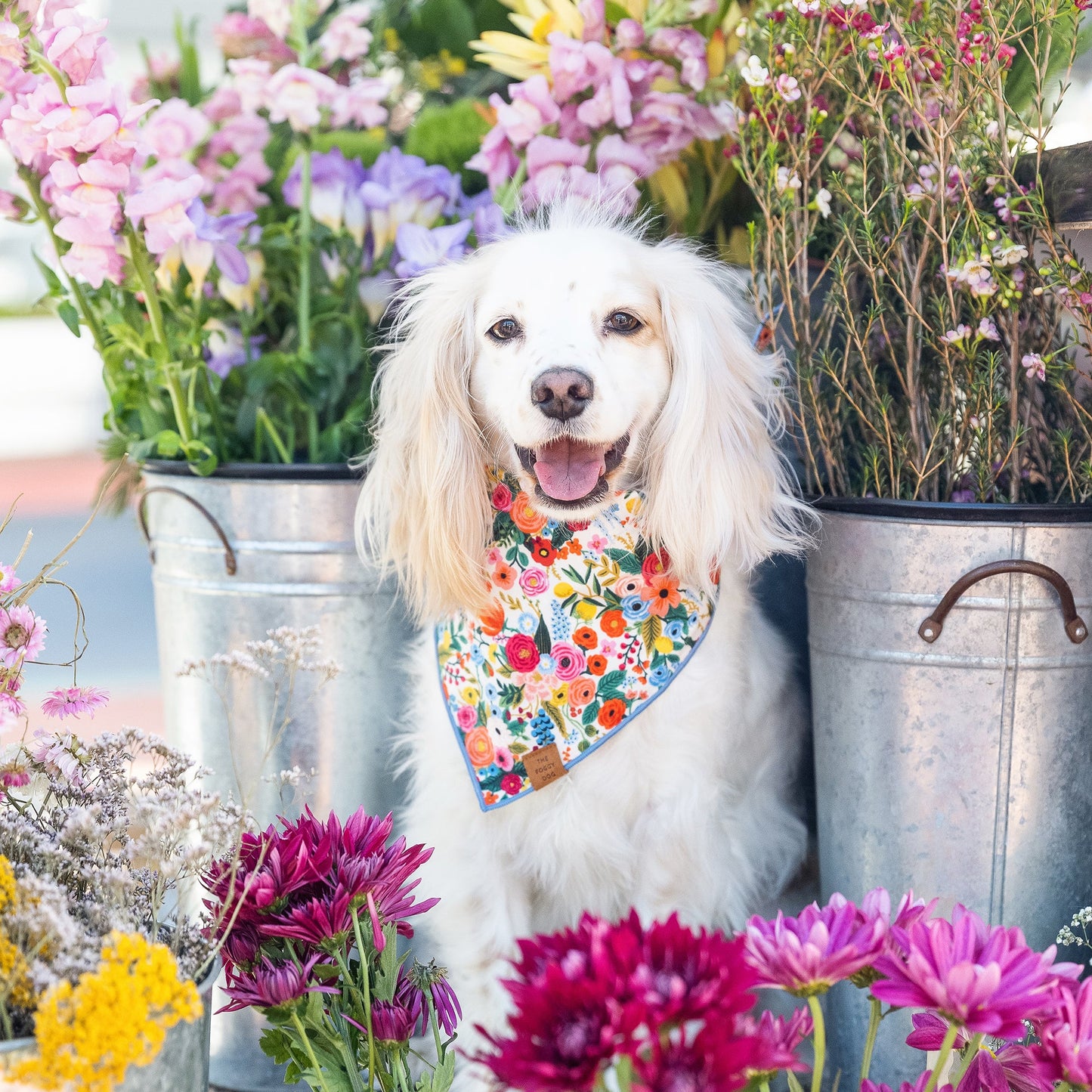 Garden Party Dog Bandana by The Foggy Dog