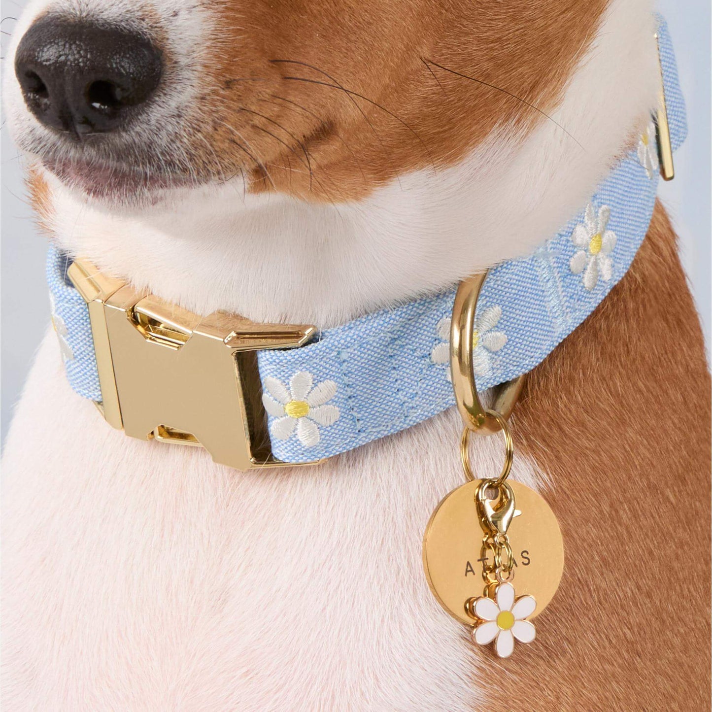 Daisy Embroidered Dog Collar by The Foggy Dog