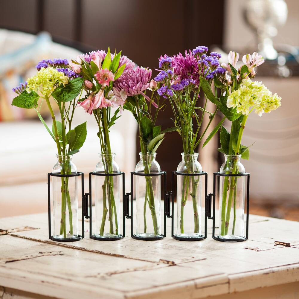 Hinged 5-Bottle Iron & Glass Vase