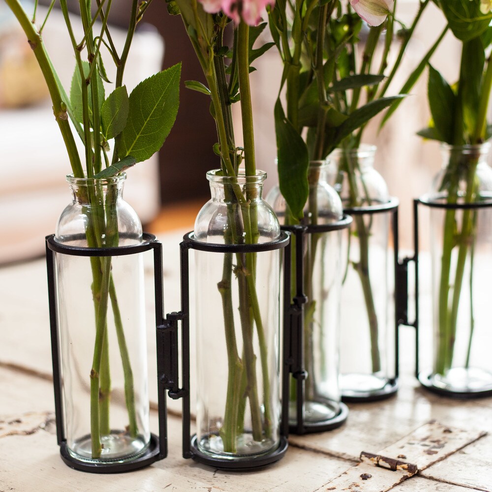 Hinged 5-Bottle Iron & Glass Vase
