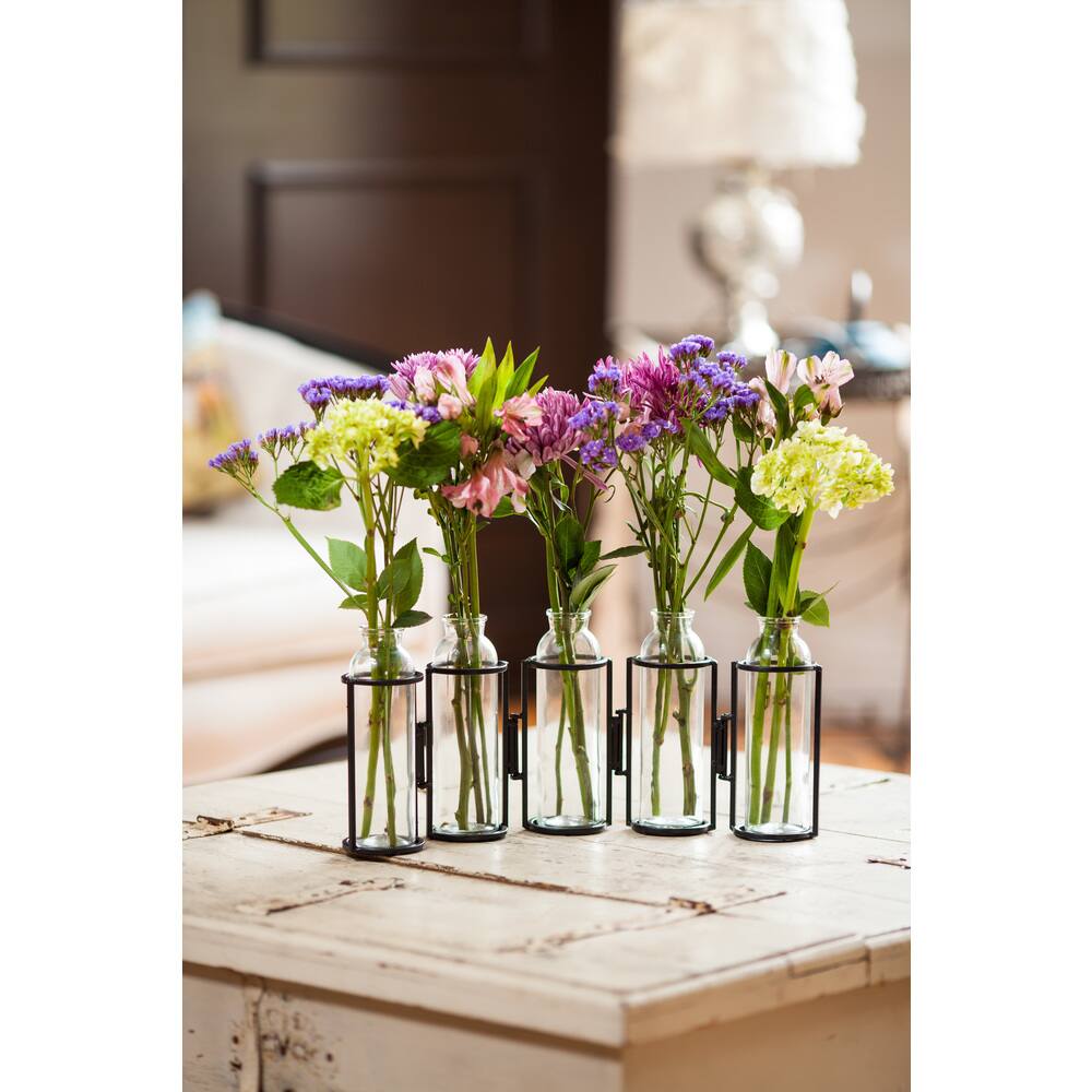 Hinged 5-Bottle Iron & Glass Vase