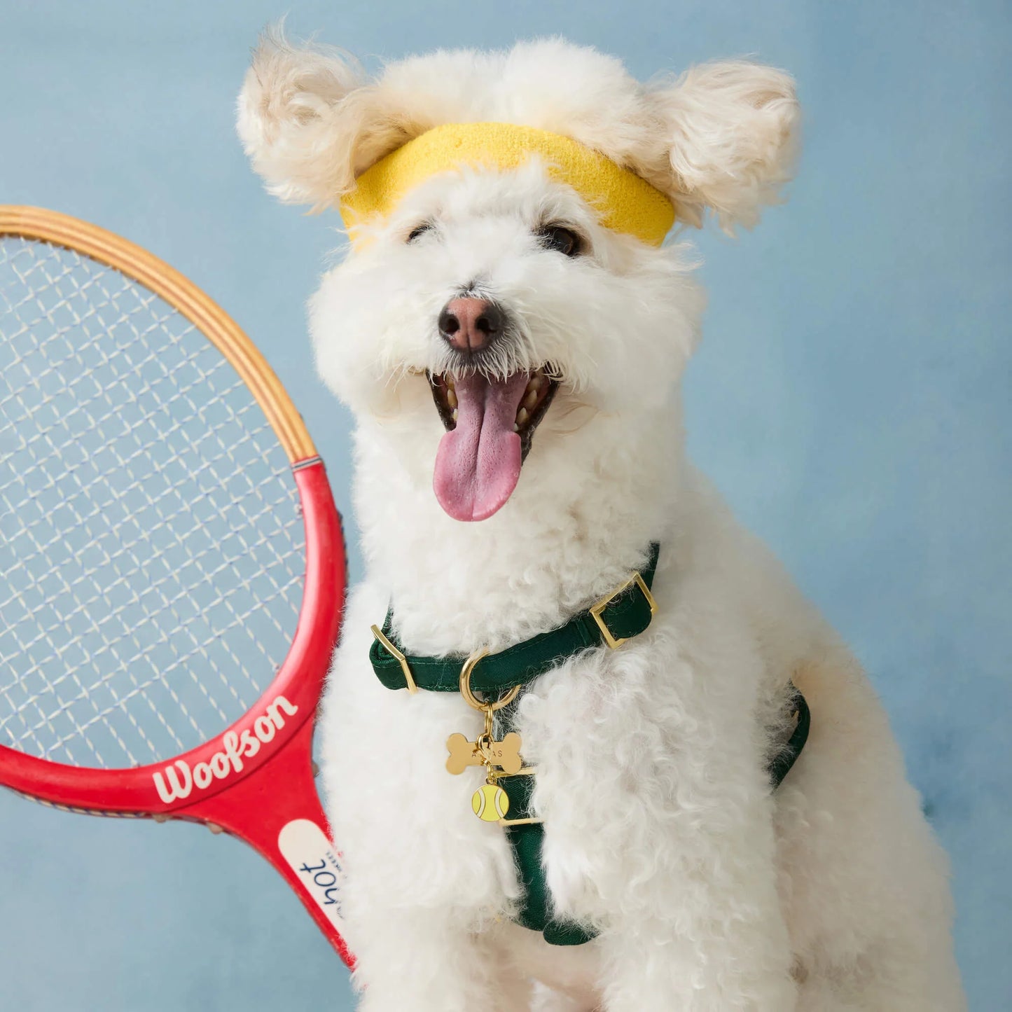 Tennis Ball Dog Collar Charm by The Foggy Dog