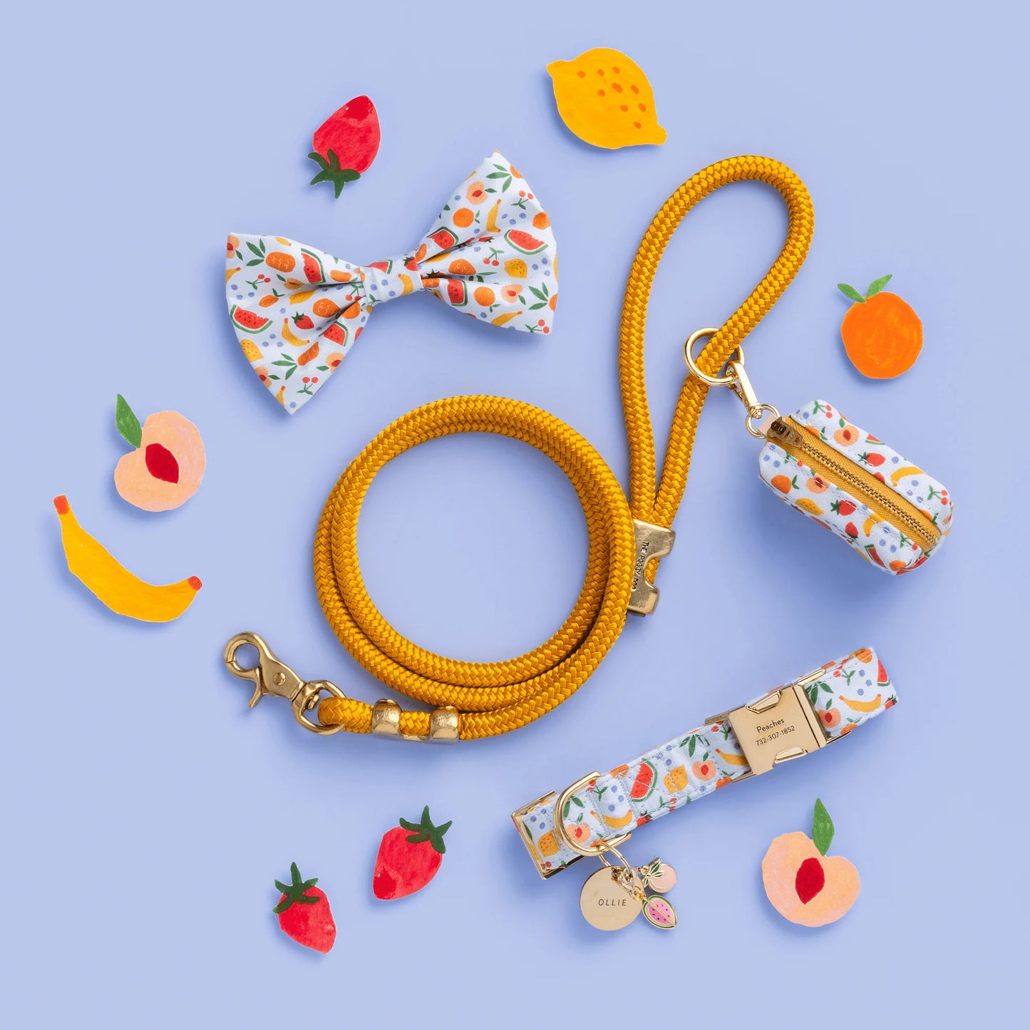 Goldenrod Marine Rope Dog Leash by The Foggy Dog
