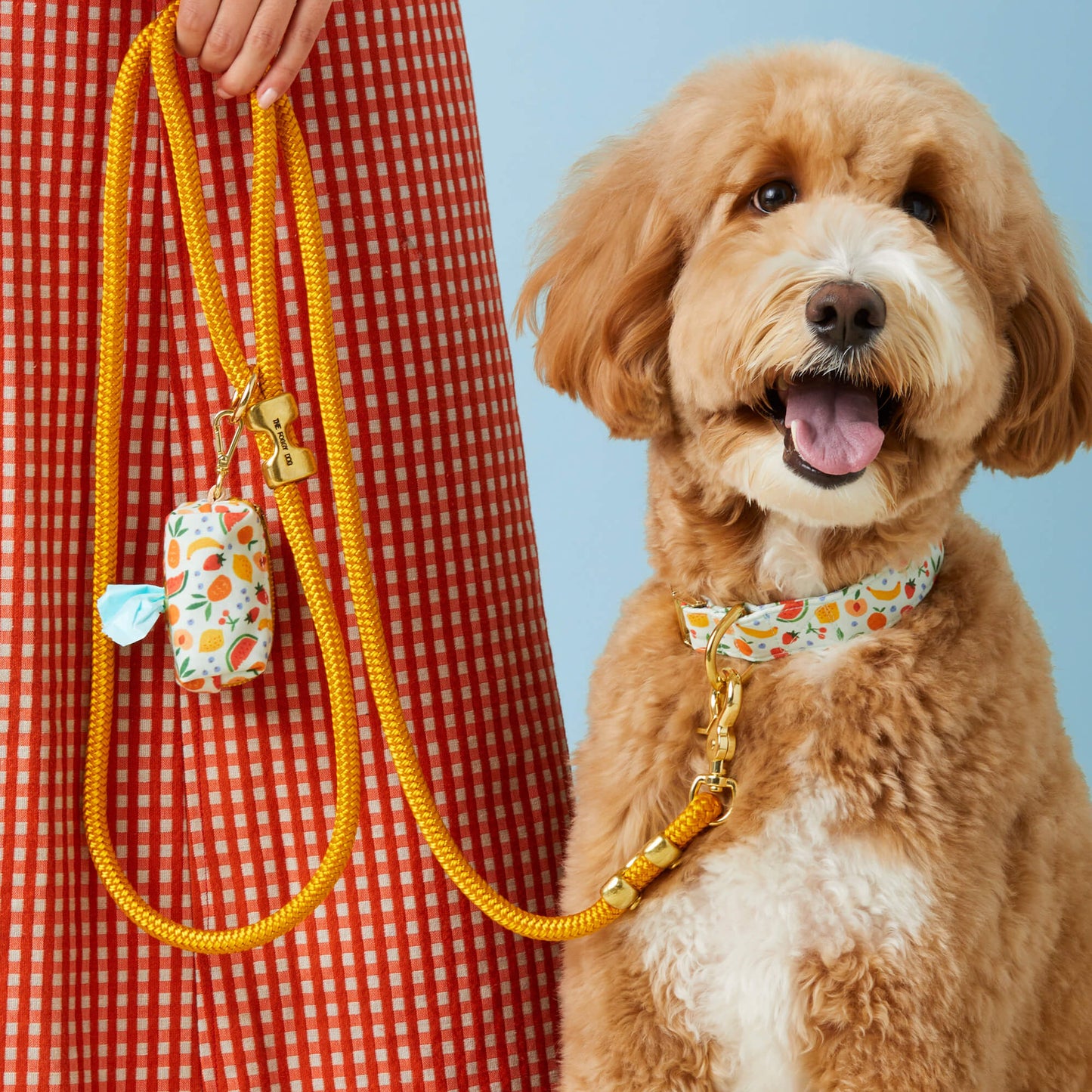 Goldenrod Marine Rope Dog Leash by The Foggy Dog