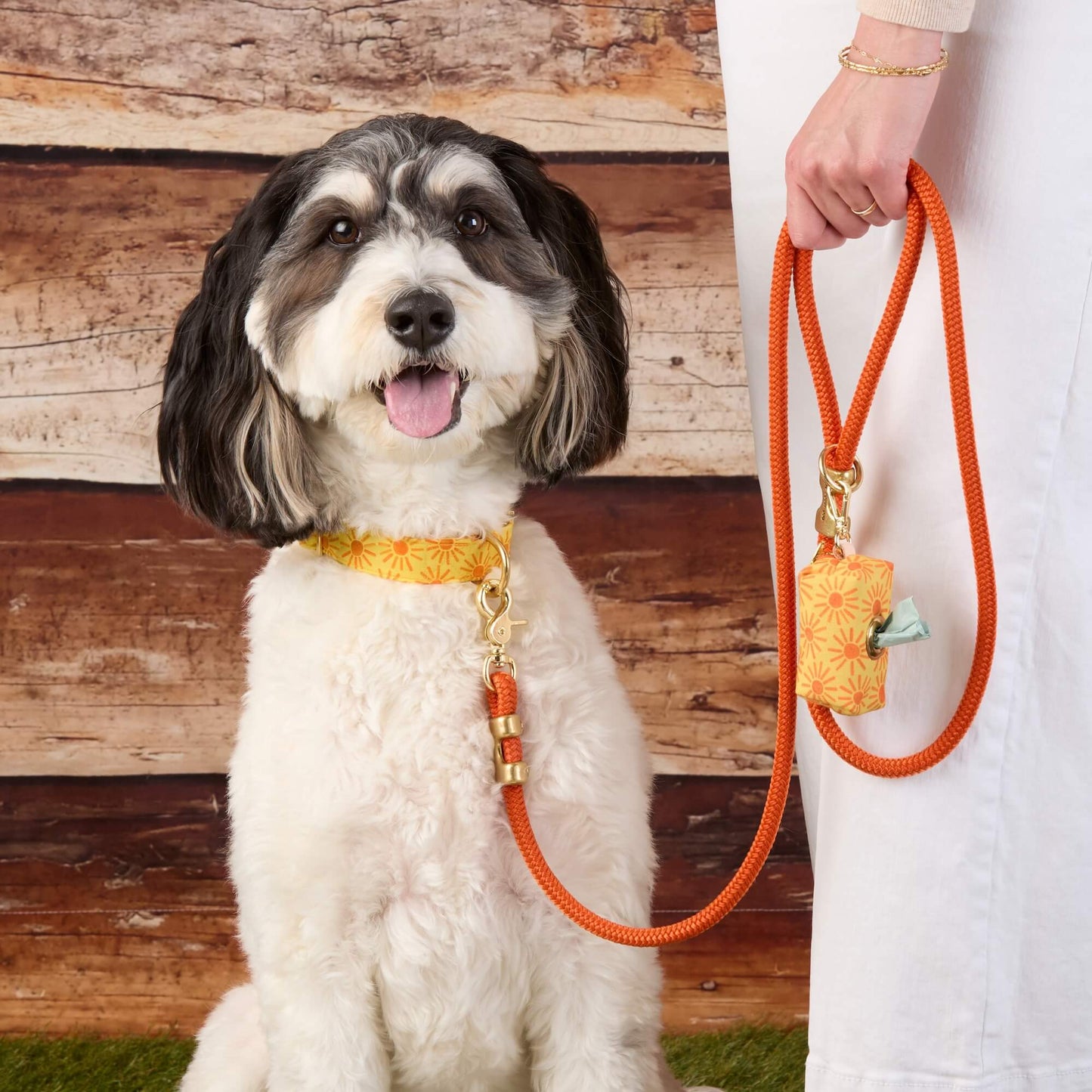 Cider Marine Rope Dog Leash by The Foggy Dog