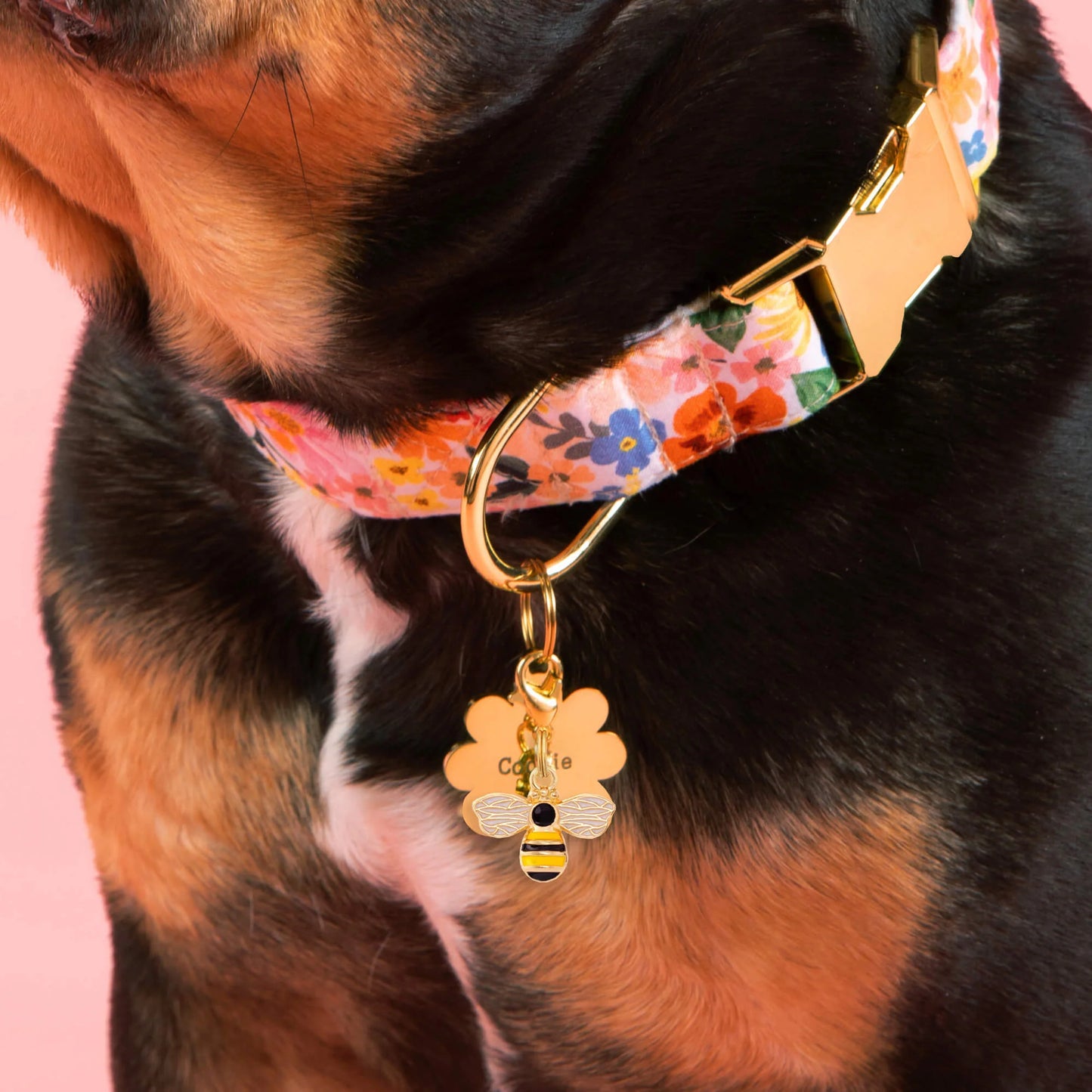 Honey Bee Dog Collar Charm by The Foggy Dog
