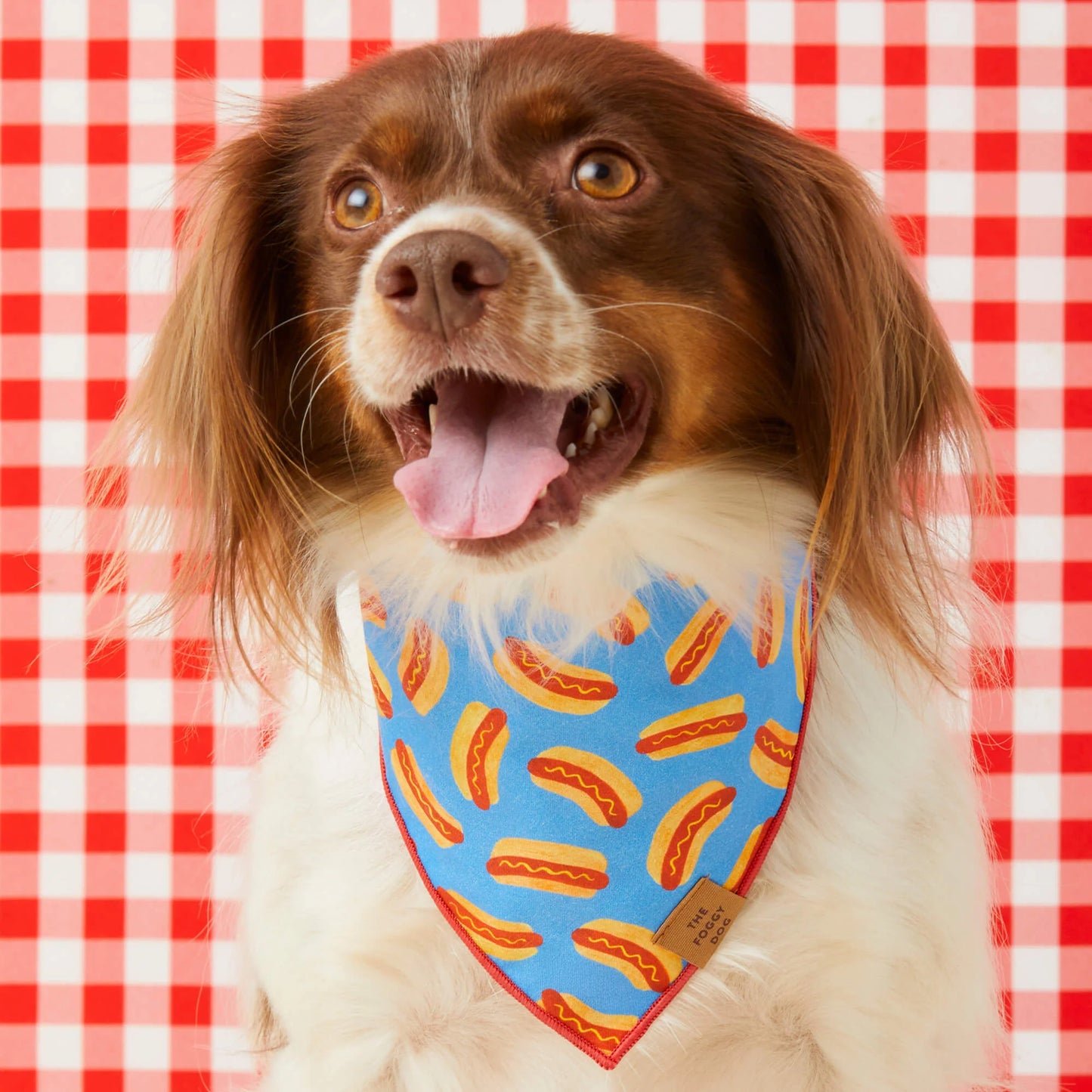 Hot Diggity Dog Bandana by The Foggy Dog