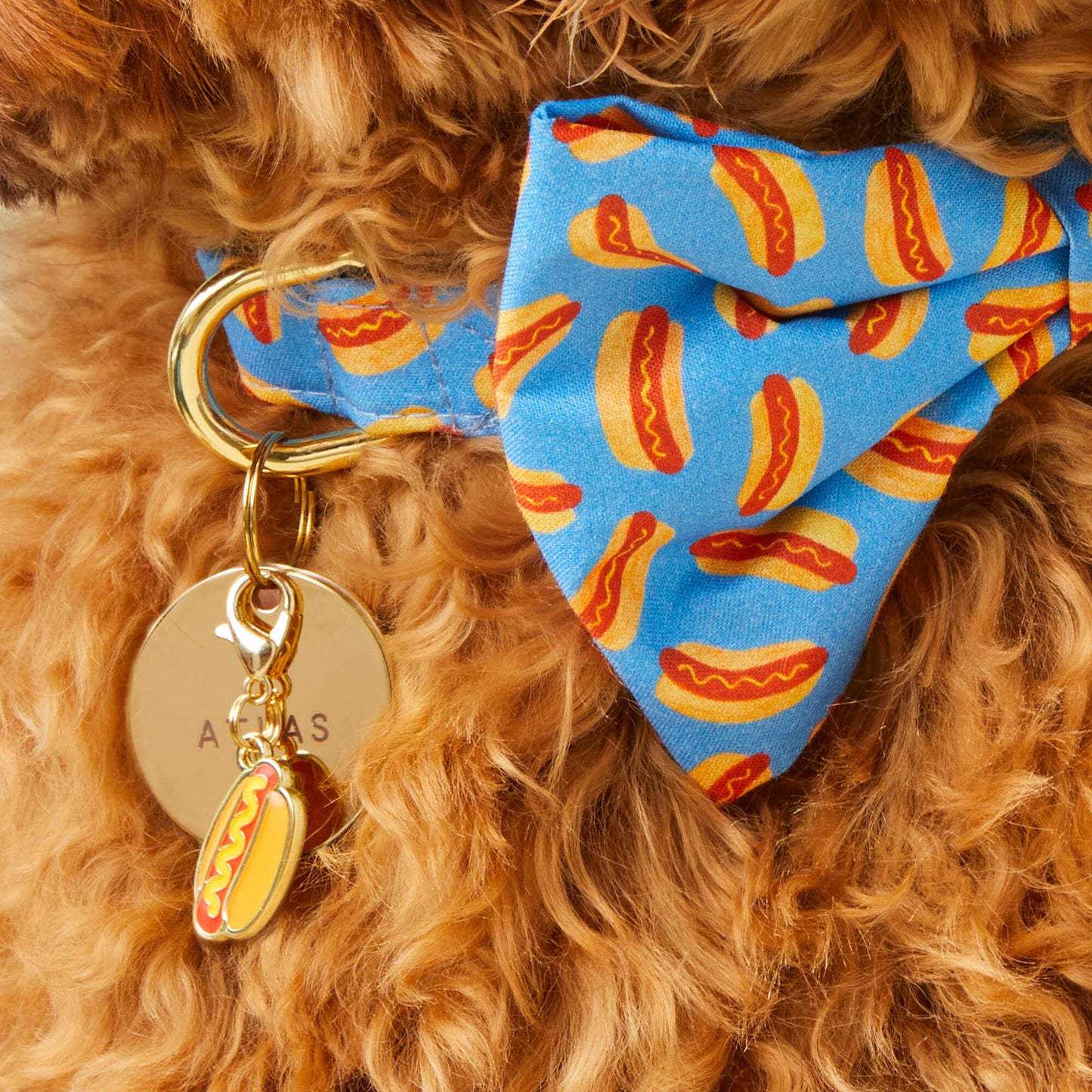 Hot Dog Collar Charm by The Foggy Dog