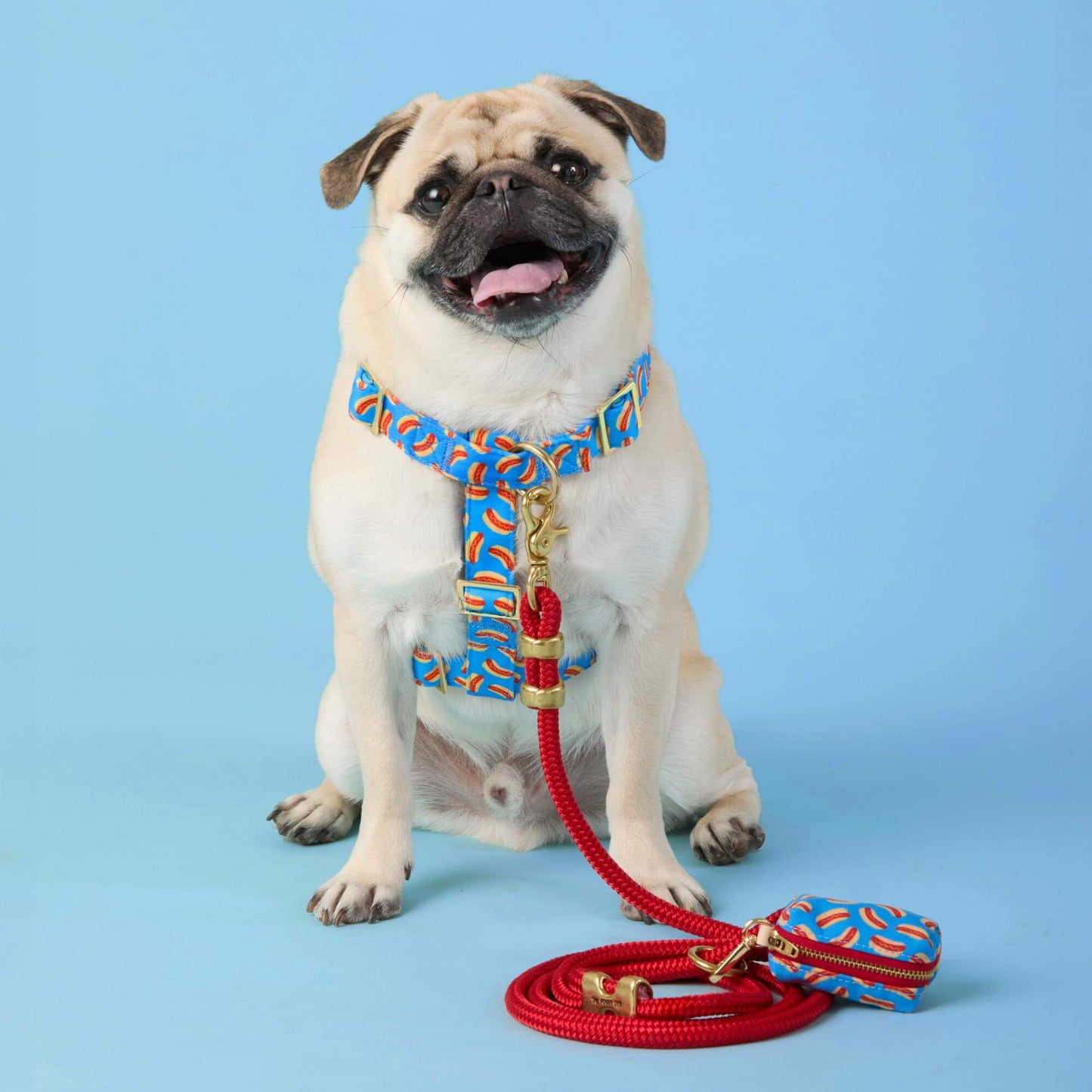 Hot Diggity Dog Harness by The Foggy Dog