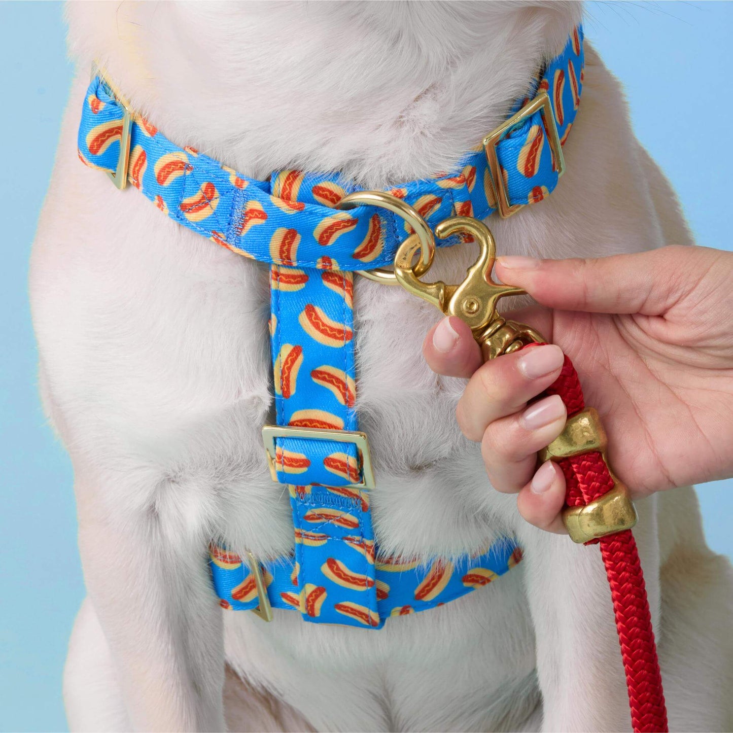 Hot Diggity Dog Harness by The Foggy Dog
