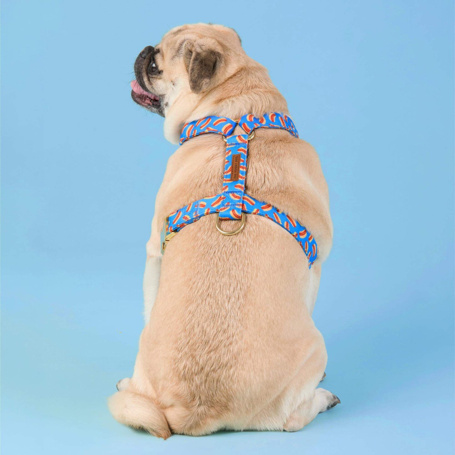 Hot Diggity Dog Harness by The Foggy Dog
