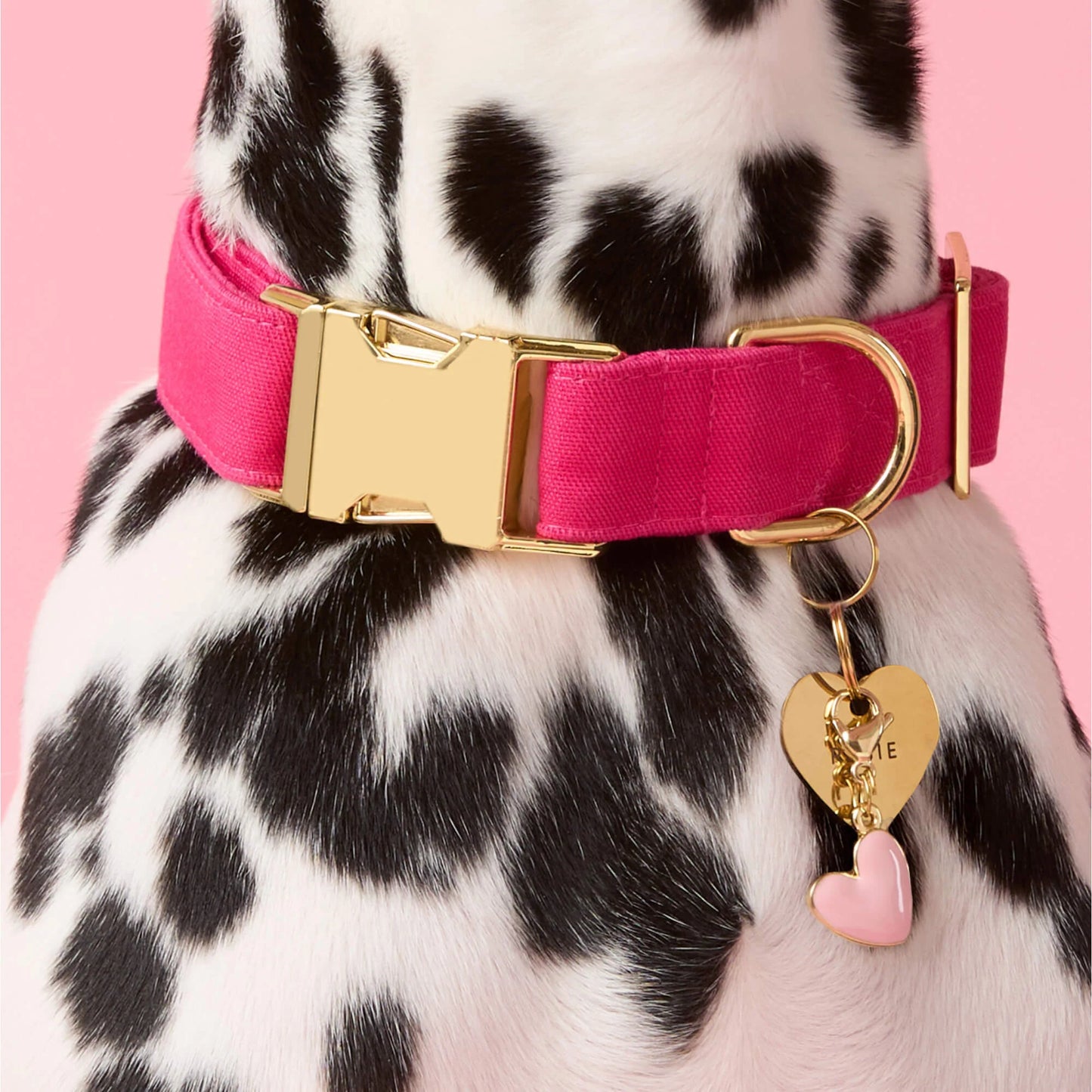 Pink Heart Dog Collar Charm by The Foggy Dog