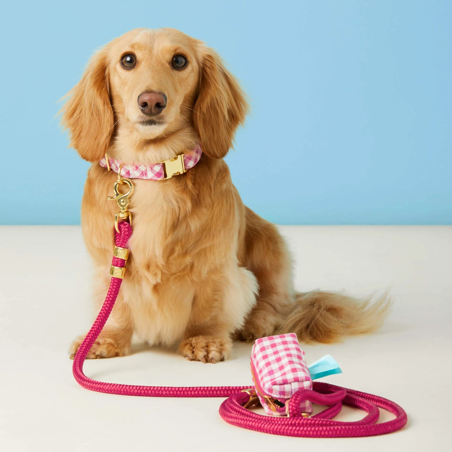 Hot Pink Marine Rope Dog Leash by The Foggy Dog