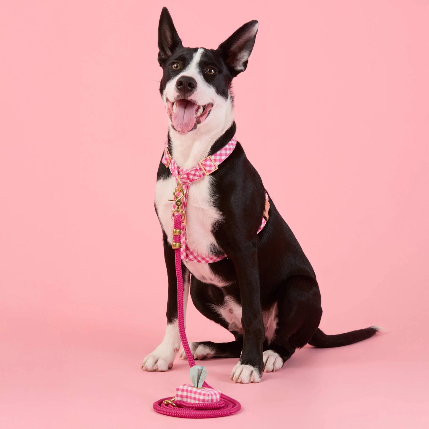 Hot Pink Gingham Waste Bag Holder by The Foggy Dog
