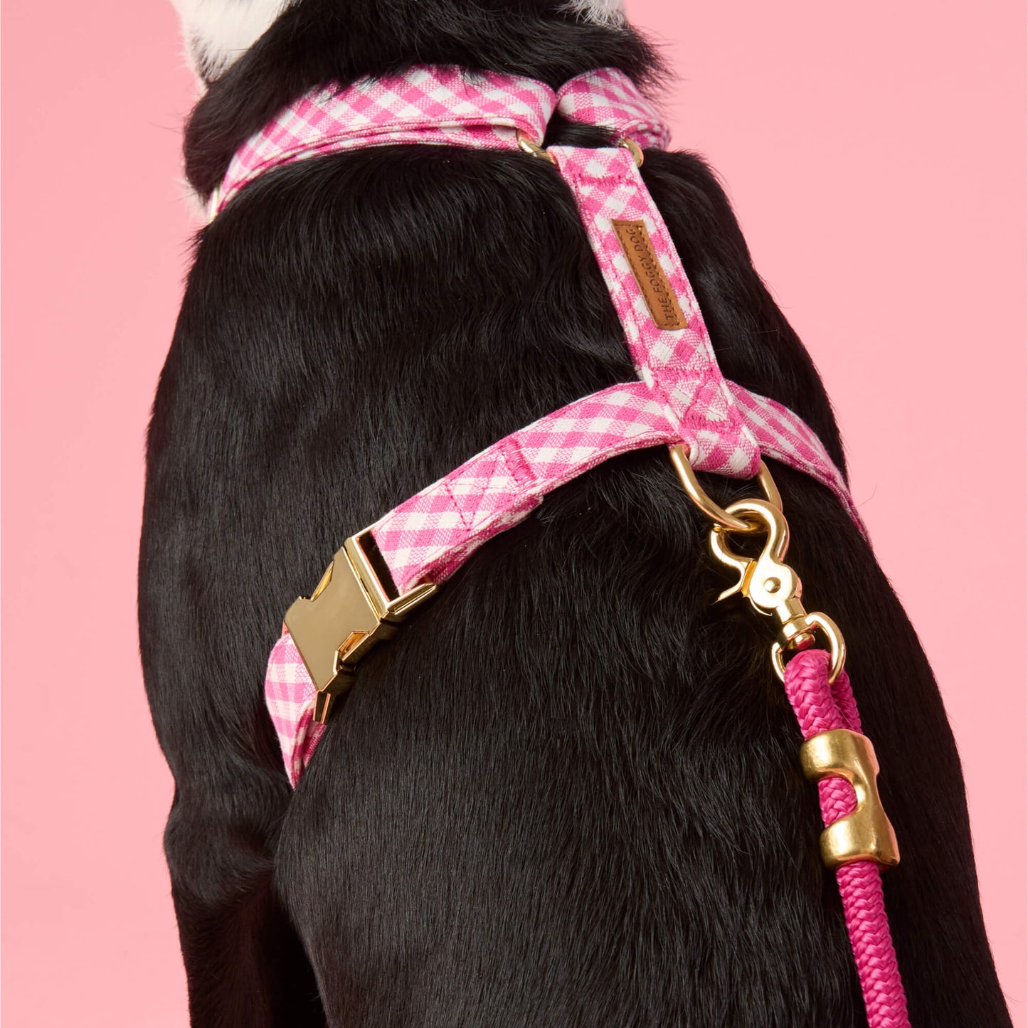 Hot Pink Gingham Dog Harness by The Foggy Dog