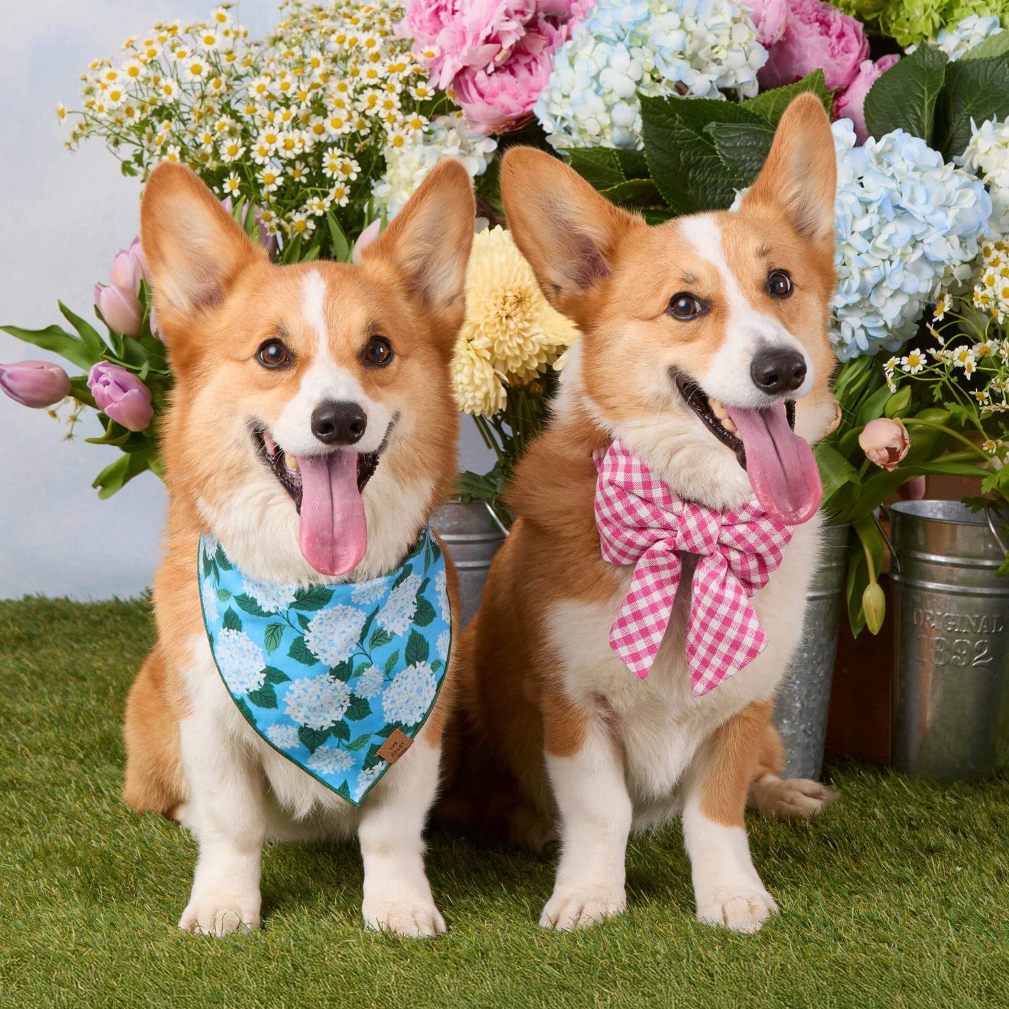 Hot Pink Gingham Lady Dog Bow by The Foggy Dog