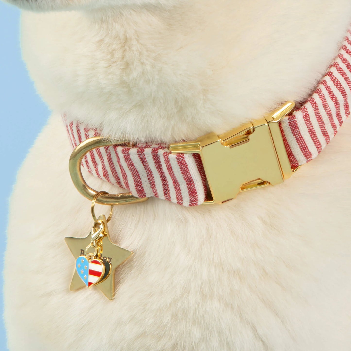 I Heart America Dog Collar Charm by The Foggy Dog