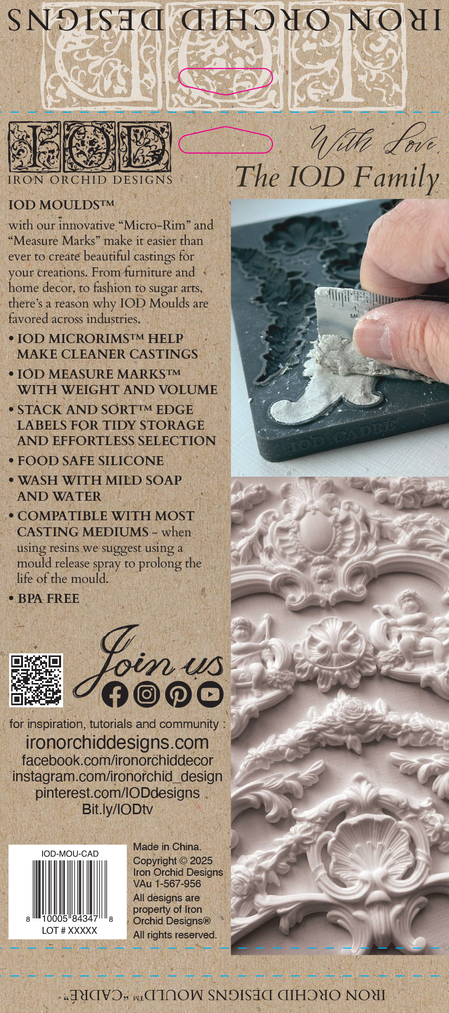 Cadré 6x10 IOD Mould by Iron Orchid Designs - NEW!