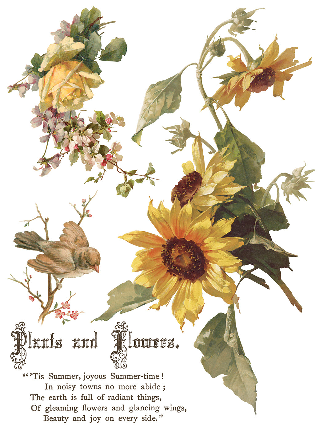 Flowers by the Poets IOD Transfer 12x16 Pad by Iron Orchid Designs - NEW!