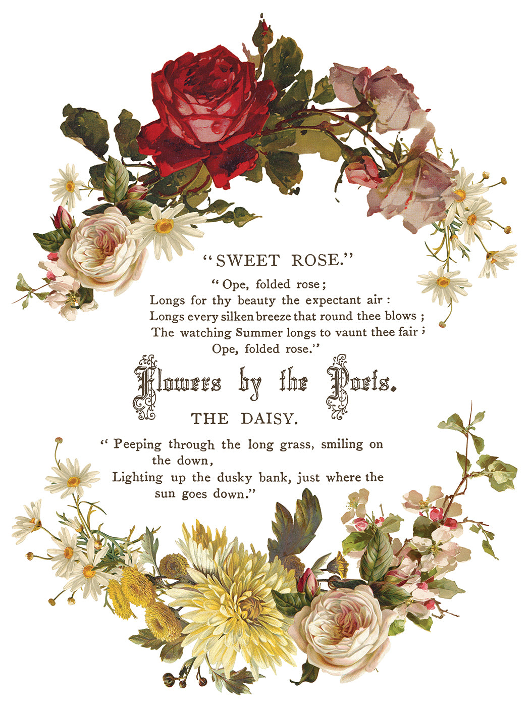 Flowers by the Poets IOD Transfer 12x16 Pad by Iron Orchid Designs - NEW!
