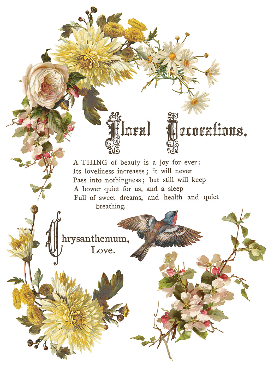 Flowers by the Poets IOD Transfer 12x16 Pad by Iron Orchid Designs - NEW!