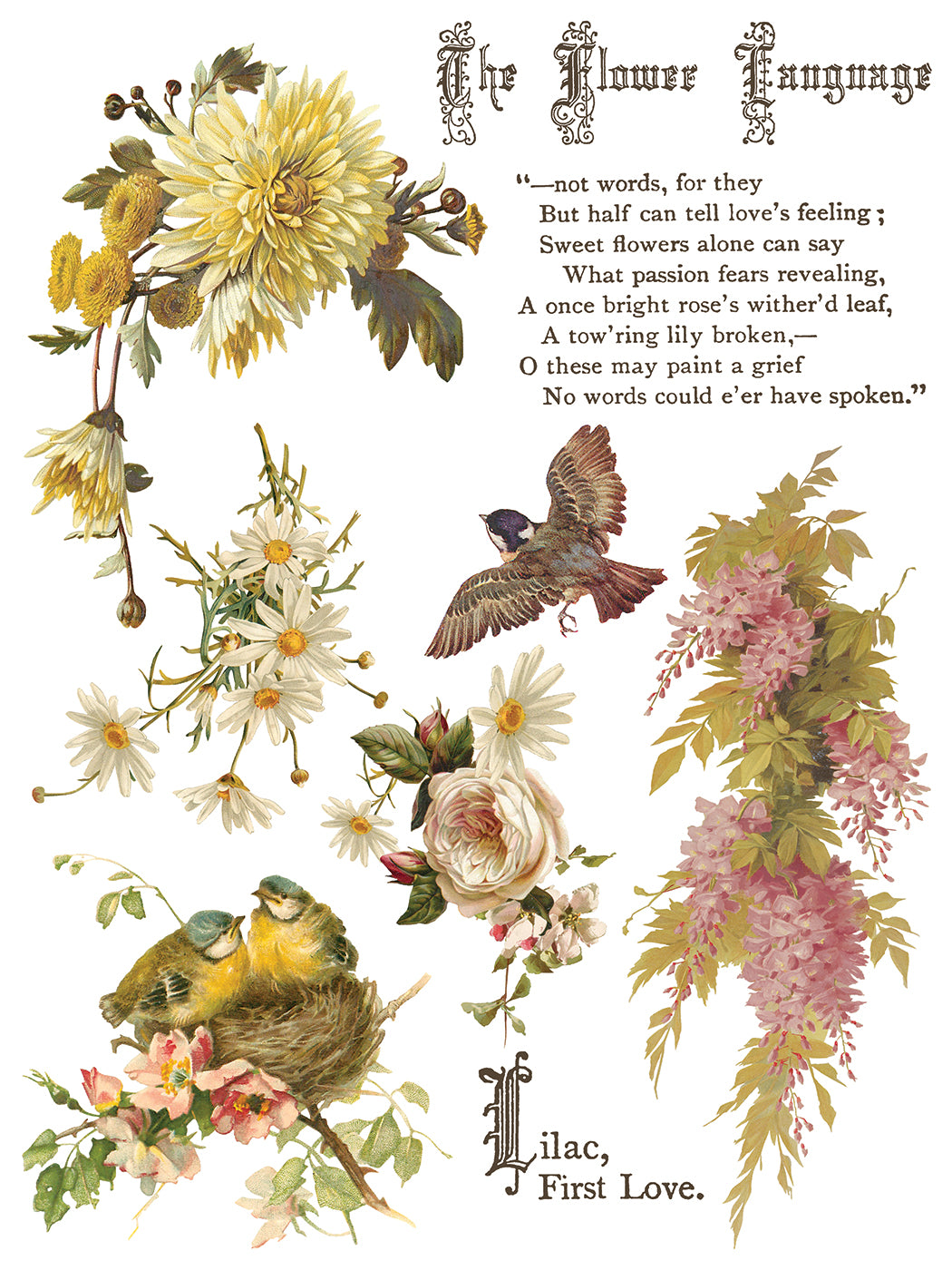 Flowers by the Poets IOD Transfer 12x16 Pad by Iron Orchid Designs - NEW!