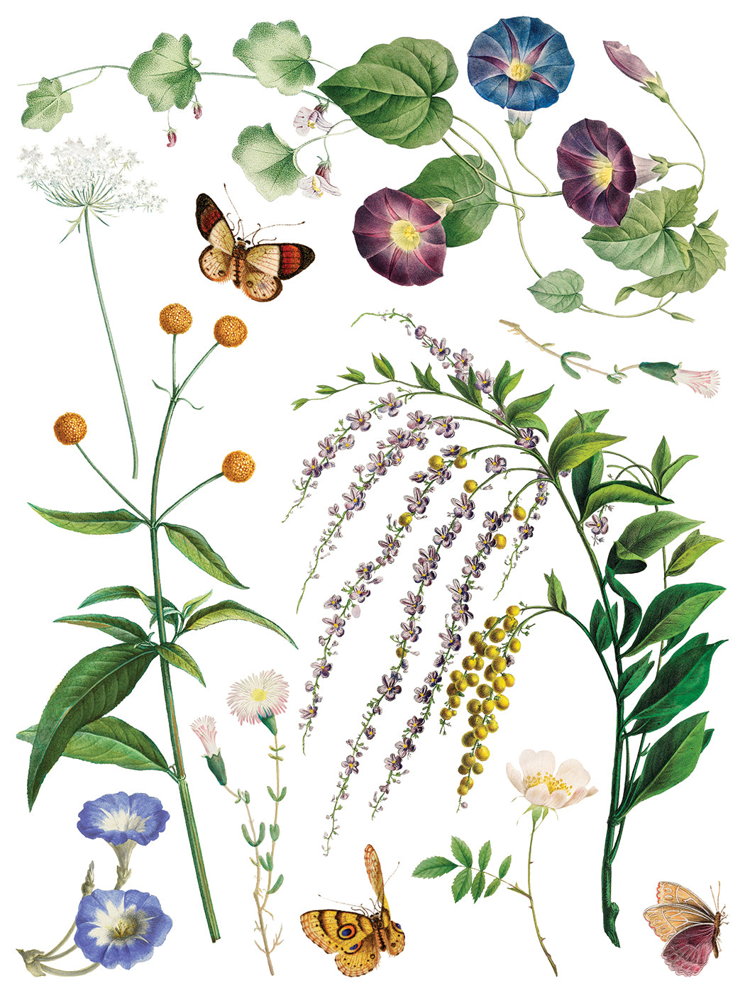 Marché des Fleurs IOD Transfer 12x16 Pad by Iron Orchid Designs - NEW!