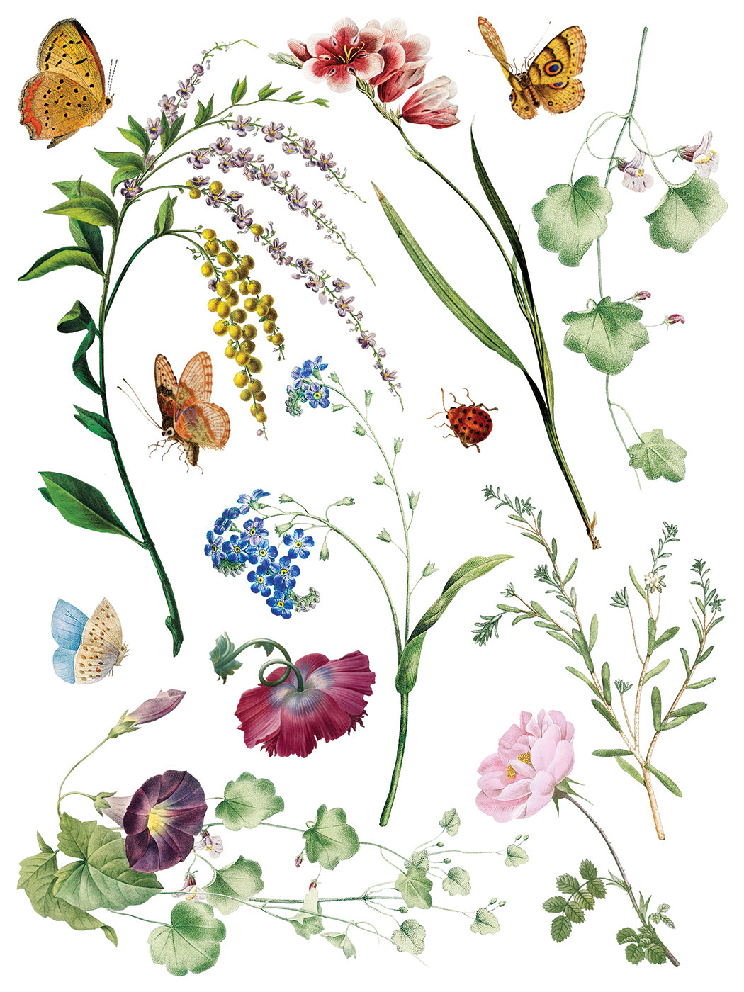 Marché des Fleurs IOD Transfer 12x16 Pad by Iron Orchid Designs - NEW!