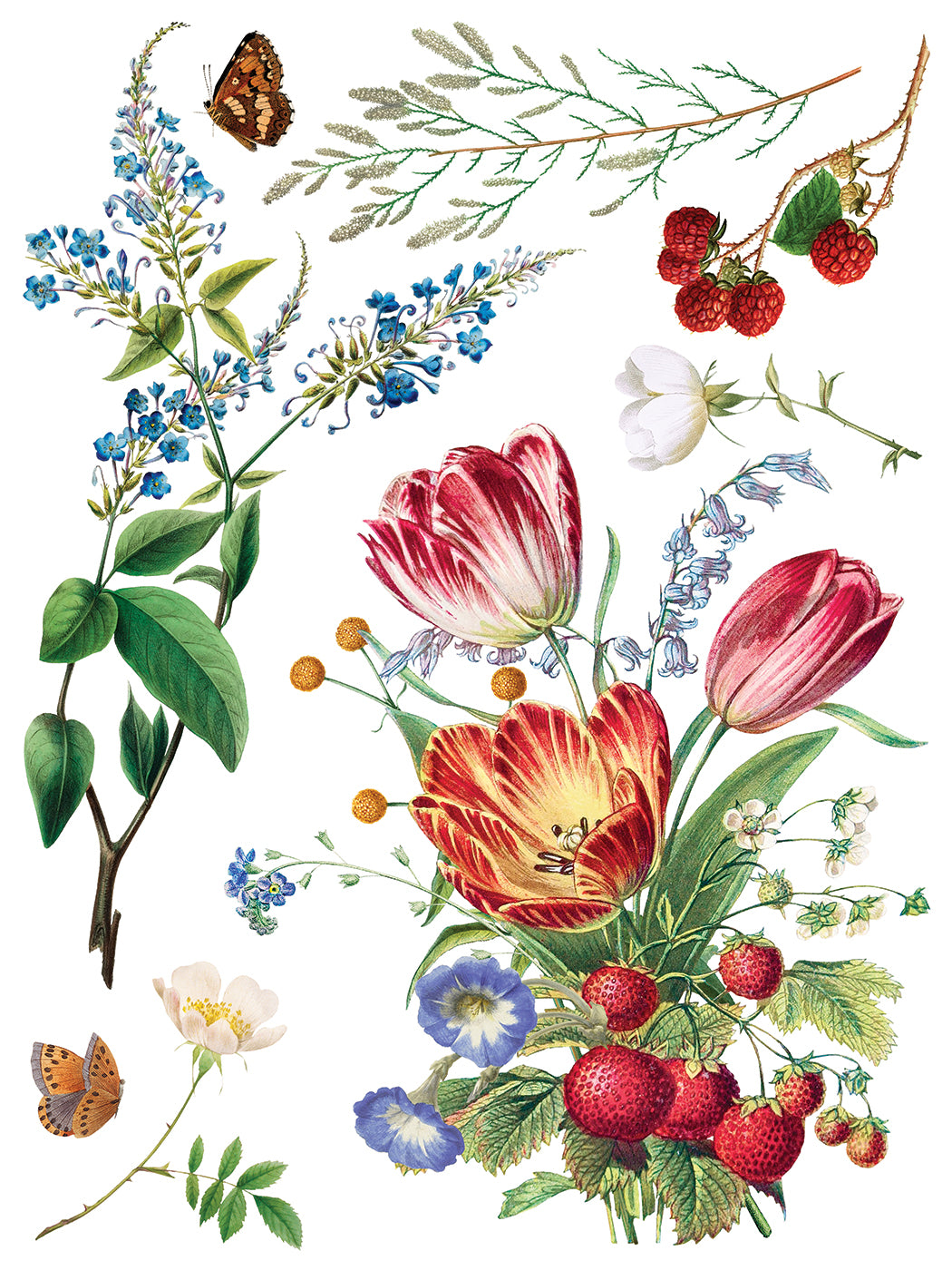 Marché des Fleurs IOD Transfer 12x16 Pad by Iron Orchid Designs - NEW!