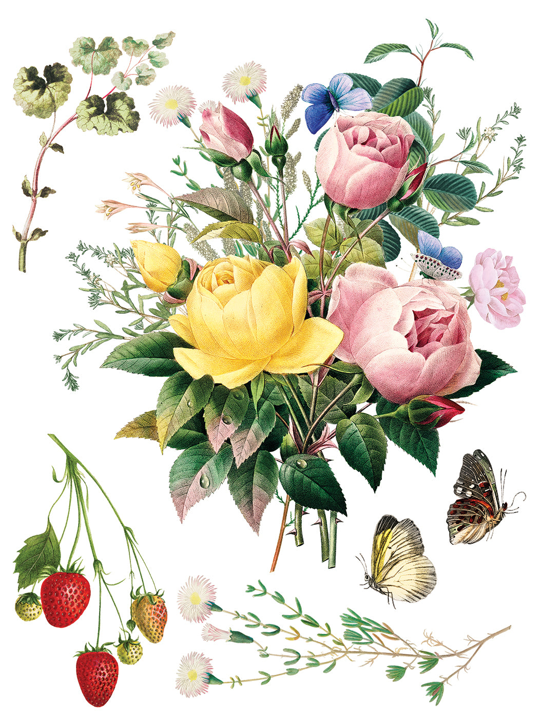 Marché des Fleurs IOD Transfer 12x16 Pad by Iron Orchid Designs - NEW!