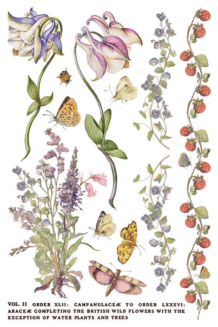 Primrose Isle IOD Transfer 8x12 Pad by Iron Orchid Designs - NEW!