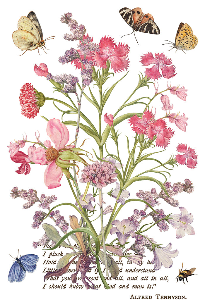 Primrose Isle IOD Transfer 8x12 Pad by Iron Orchid Designs - NEW!
