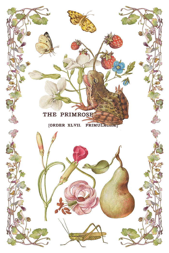 Primrose Isle IOD Transfer 8x12 Pad by Iron Orchid Designs - NEW!