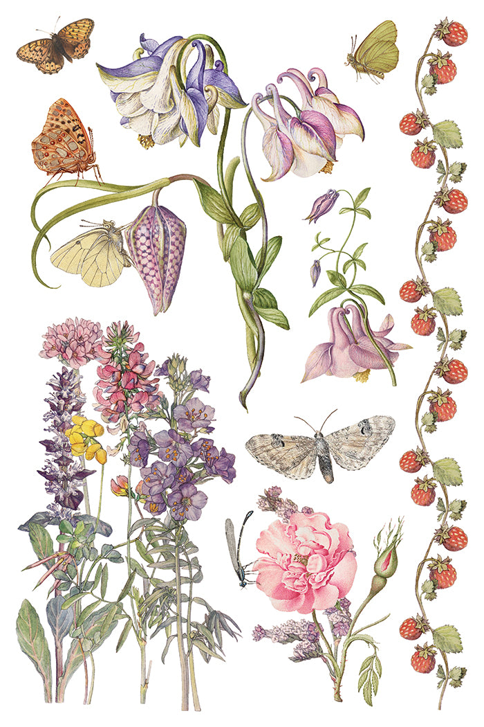 Primrose Isle IOD Transfer 8x12 Pad by Iron Orchid Designs - NEW!