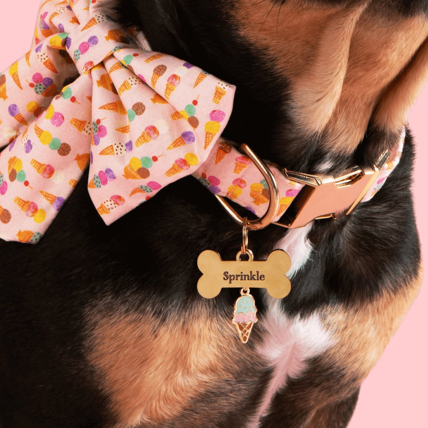Gold Anchor Dog Collar Charm by The Foggy Dog
