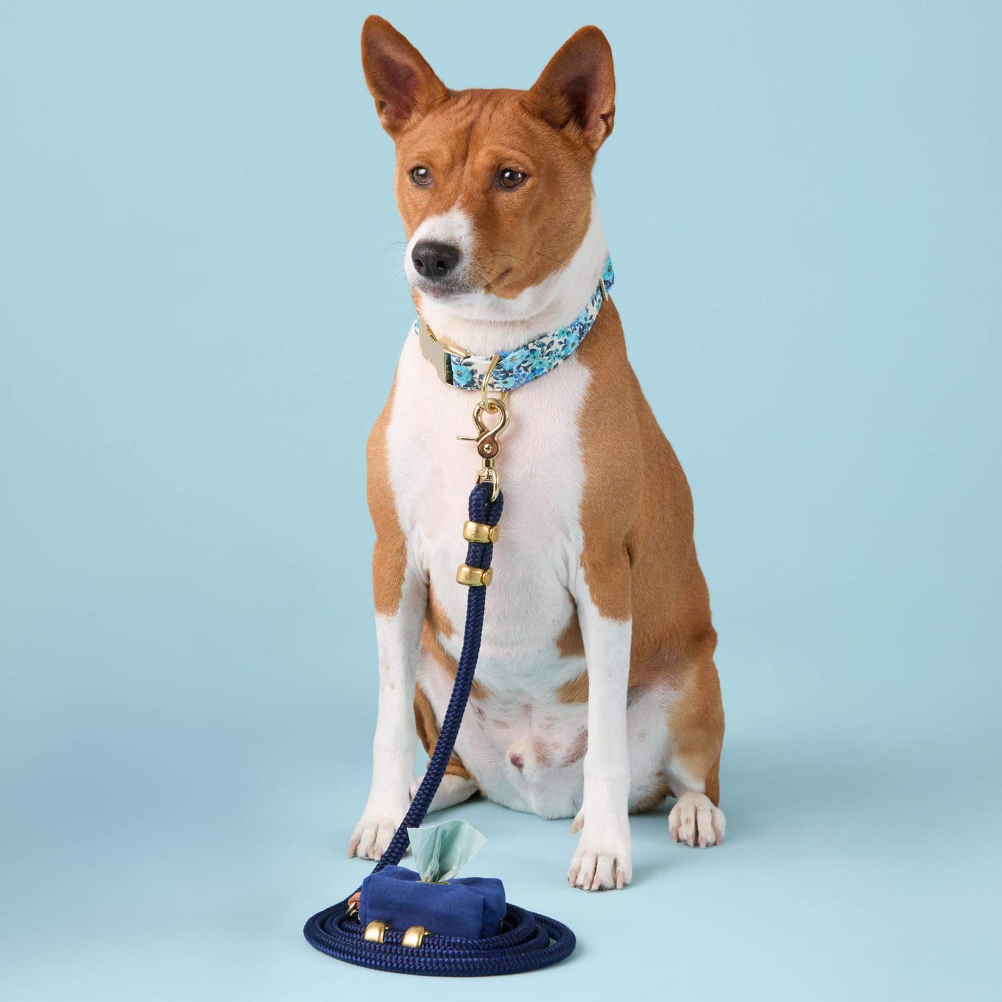 Ocean Marine Rope Dog Leash by The Foggy Dog