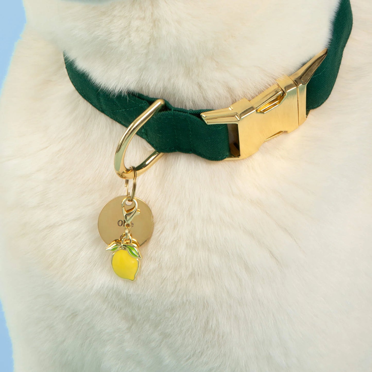 Lemon Dog Collar Charm by The Foggy Dog
