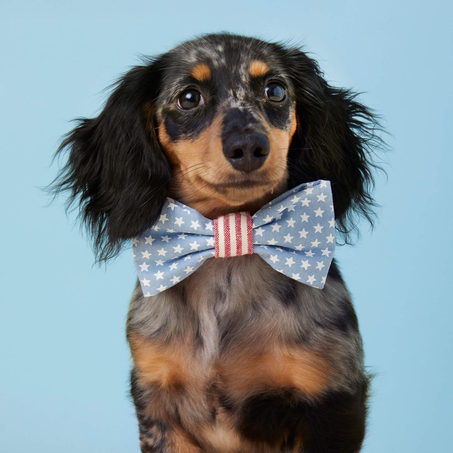 Stars & Stripes Dog Bow Tie by The Foggy Dog
