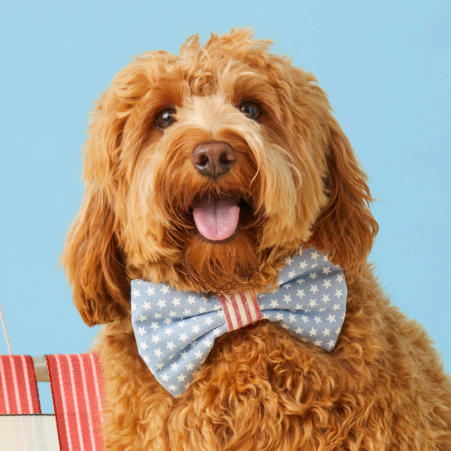Stars & Stripes Dog Bow Tie by The Foggy Dog
