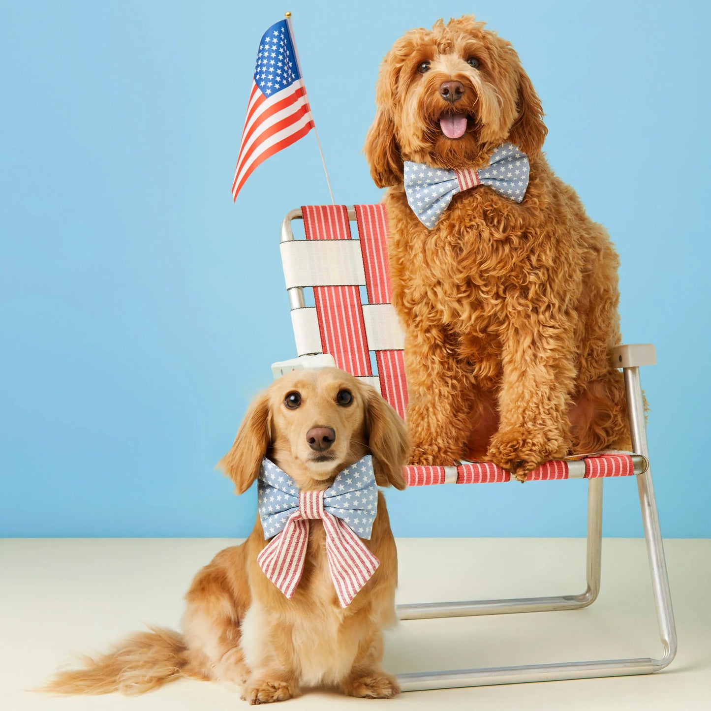 Stars & Stripes Lady Dog Bow by The Foggy Dog